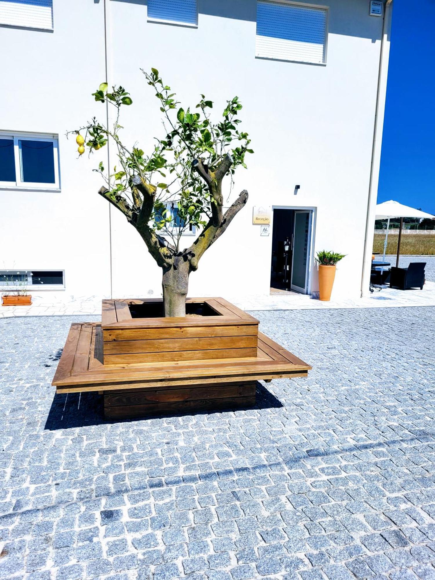 Guest House Mj Póvoa de Varzim Exteriör bild